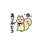 リスのリス丸くん（個別スタンプ：6）