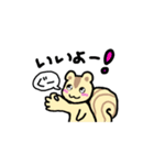 リスのリス丸くん（個別スタンプ：9）
