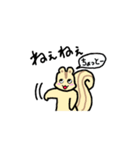 リスのリス丸くん（個別スタンプ：11）