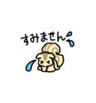 リスのリス丸くん（個別スタンプ：14）