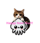 Happy New Year SQUID and CAT（個別スタンプ：1）