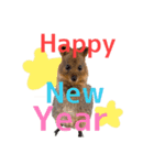 新年のクオッカワラビーあけおめ編（個別スタンプ：4）