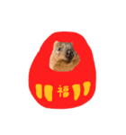 新年のクオッカワラビーあけおめ編（個別スタンプ：8）