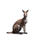 カンガルー kangaroo（個別スタンプ：8）