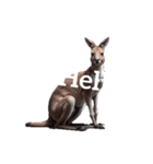 カンガルー kangaroo（個別スタンプ：23）