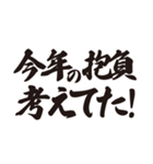 筆文字で正月の言い訳（個別スタンプ：8）