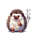 ドット絵 ハリネズミ 日常会話 40種（個別スタンプ：11）