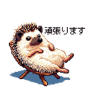 ドット絵 ハリネズミ 日常会話 40種（個別スタンプ：23）