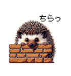 ドット絵 ハリネズミ 日常会話 40種（個別スタンプ：29）