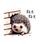 ドット絵 ハリネズミ 日常会話 40種（個別スタンプ：30）