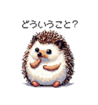 ドット絵 ハリネズミ 日常会話 40種（個別スタンプ：32）