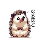 ドット絵 ハリネズミ 日常会話 40種（個別スタンプ：34）