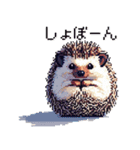 ドット絵 ハリネズミ 日常会話 40種（個別スタンプ：38）