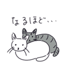 醒めた返事をする猫（個別スタンプ：5）