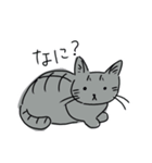 醒めた返事をする猫（個別スタンプ：7）
