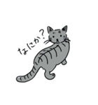 醒めた返事をする猫（個別スタンプ：8）