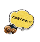 A＆Y正月バージョン（個別スタンプ：5）