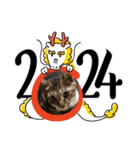 虎吉福島2024（個別スタンプ：1）