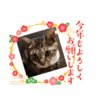 虎吉福島2024（個別スタンプ：2）