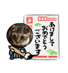 虎吉福島2024（個別スタンプ：3）