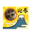 虎吉福島2024（個別スタンプ：4）