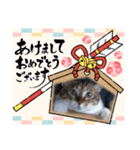 虎吉福島2024（個別スタンプ：6）