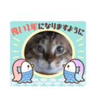 虎吉福島2024（個別スタンプ：8）