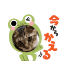 虎吉福島2024（個別スタンプ：11）