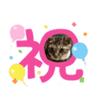 虎吉福島2024（個別スタンプ：17）