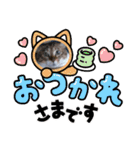 虎吉福島2024（個別スタンプ：18）