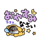 虎吉福島2024（個別スタンプ：19）