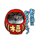 虎吉福島2024（個別スタンプ：24）