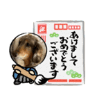 ミニチュアダックスのジョナスくん3（個別スタンプ：30）