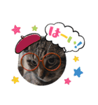 金澤さんちの猫たちパート4（個別スタンプ：11）