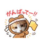 金澤さんちの猫たちパート4（個別スタンプ：17）