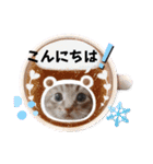 金澤さんちの猫たちパート4（個別スタンプ：23）