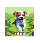 可愛すぎる犬たちの日常（個別スタンプ：6）