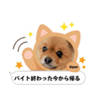 PON！ポンちゃんです（個別スタンプ：14）