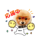PON！ポンちゃんです（個別スタンプ：18）