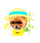 PON！ポンちゃんです（個別スタンプ：19）