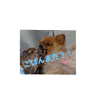 PON！ポンちゃんです（個別スタンプ：23）