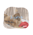 PON！ポンちゃんです（個別スタンプ：27）