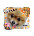 PON！ポンちゃんです（個別スタンプ：30）