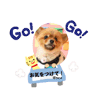 PON！ポンちゃんです（個別スタンプ：32）