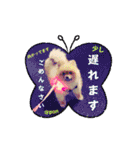 PON！ポンちゃんです（個別スタンプ：38）