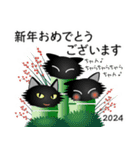 猫の日ごろ30 毛が長い黒猫のお正月（個別スタンプ：2）