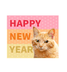 大人の敬語と猫写真♪お正月のご挨拶 2024（個別スタンプ：8）