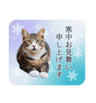 大人の敬語と猫写真♪お正月のご挨拶 2024（個別スタンプ：21）
