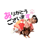 ひびつづスタンプ（個別スタンプ：6）