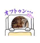 蓮ちゃんファミリー（個別スタンプ：22）